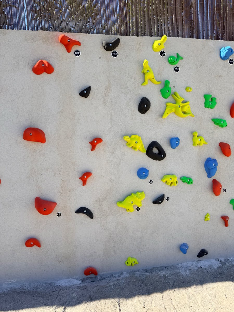 Numbered route labels next to the climbing holds