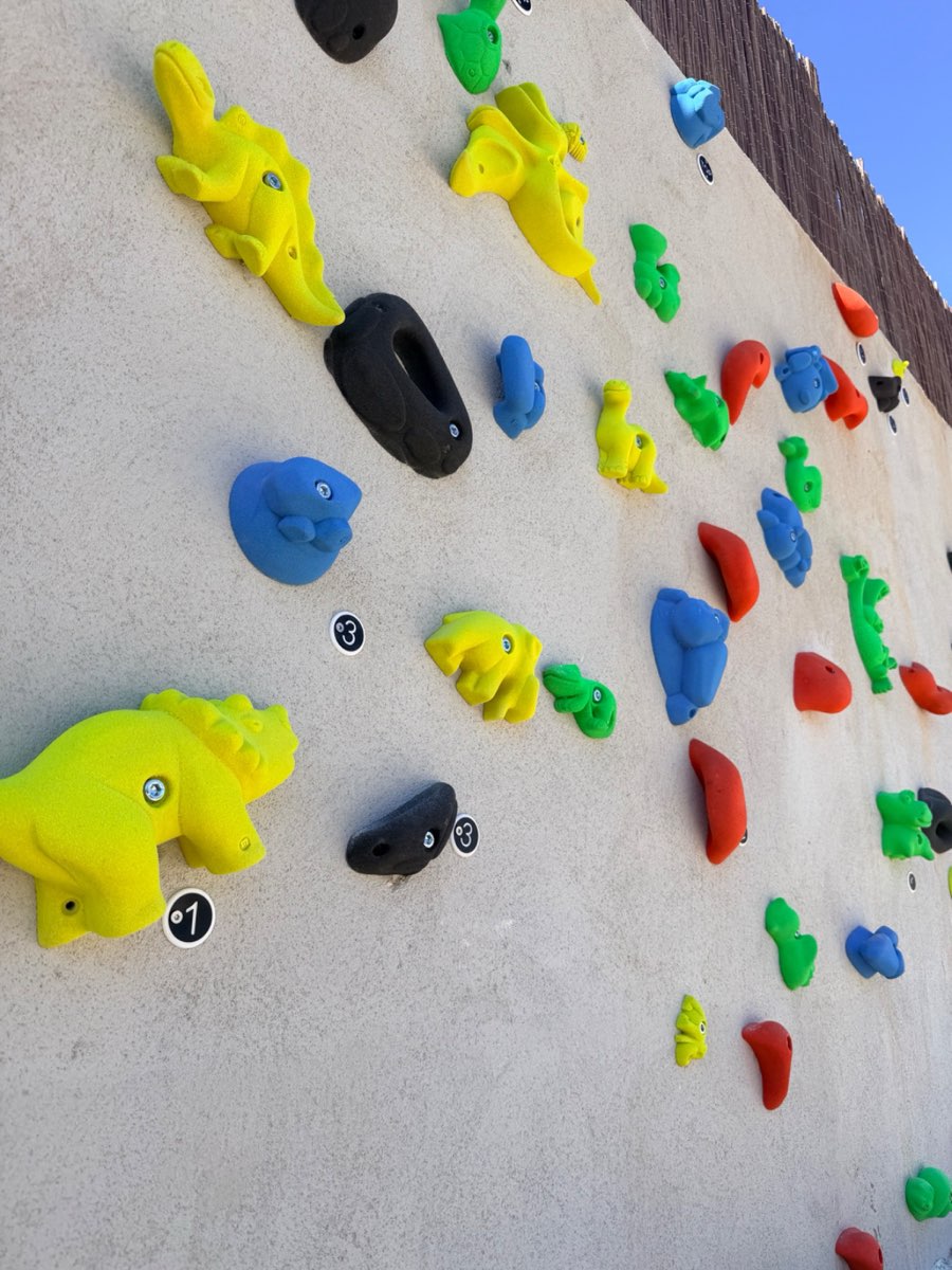 Colourful animal-shaped climbing holds on the wall